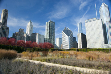 Obraz premium Chicago skyline