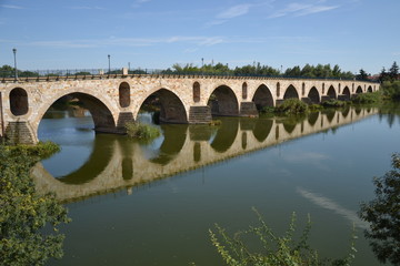Fototapeta premium Puente de piedra en Zamora