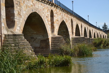 Fototapeta na wymiar Zamora Most