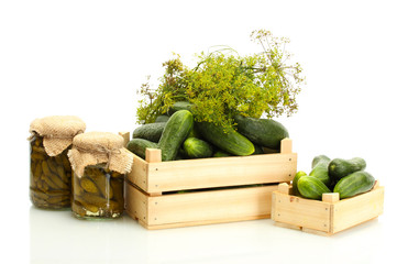 fresh cucumbers in wooden boxes, pickles and dill isolated