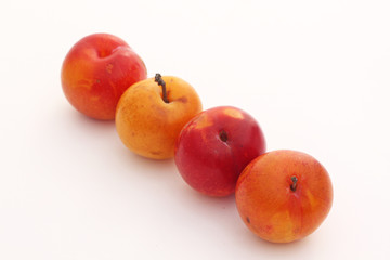 Une rangée de prunes