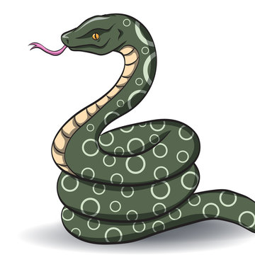 vector green snake