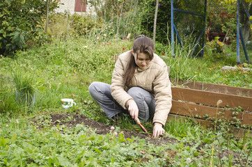 Young woman prepares a seed bed for garlic.