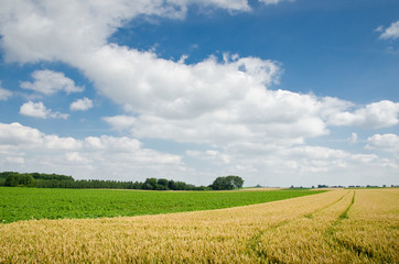 Agriculture - Gembloux - Belgium
