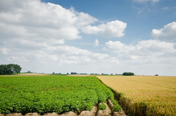 Agriculture - Gembloux - Belgium