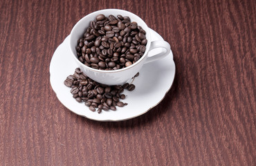Arabica coffee