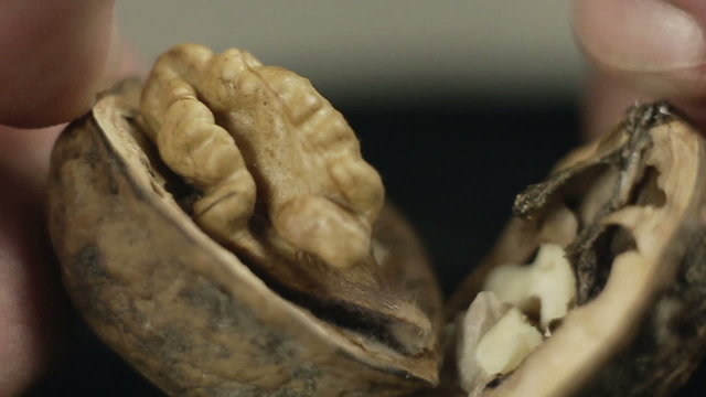 Human splitting walnut in two parts