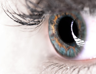 Beautiful Eye of Woman