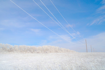 Winter landscape, snow in steppes and a timber edge.