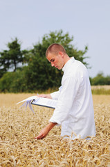 Agriculture scientist in the field checking results - 45583043