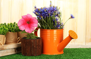 watering can and plants in flowerpots