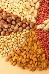 assortment of tasty nuts, on beige background