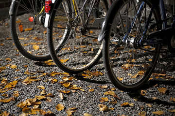 wheels of bikes