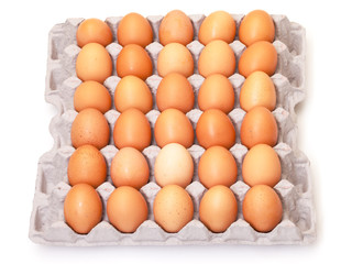 Fresh Brown Eggs in Carton