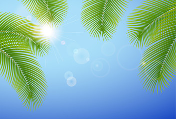 Fototapeta na wymiar Sunny błękitne niebo i gałęzie palmy.
