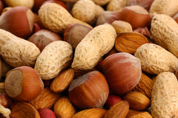 assortment of tasty nuts, close up