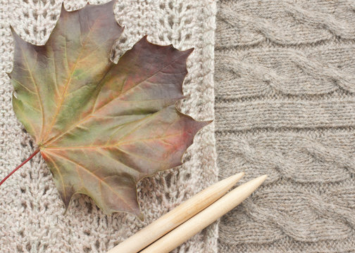 Autumn knitting leaf needles