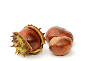 3 Kastanien