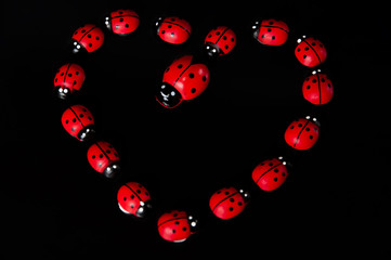 cuore coccinelle