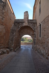 Fototapeta na wymiar Bishops Gate w Zamora