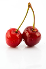 cherry