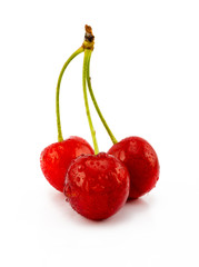 cherry