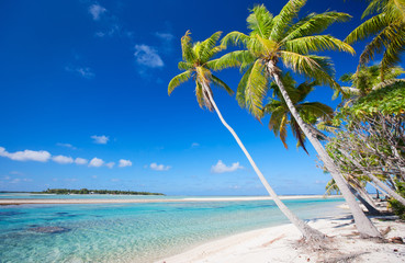 Perfect tropical beach