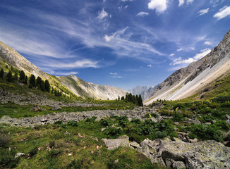 Stone run in an alpine meadow