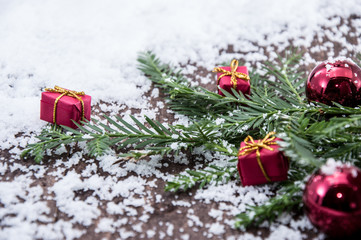 Fir branches with snow