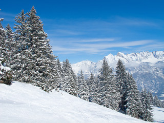 Fototapeta premium Winter in the alps