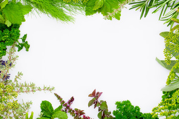 Herbs frame over white background