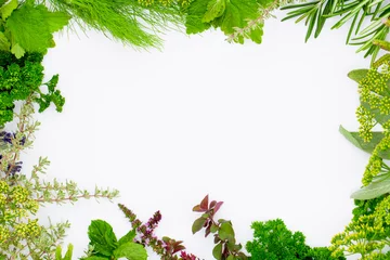 Crédence de cuisine en verre imprimé Aromatique Herbs frame over white background