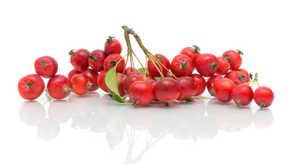 a bunch of red apples on a white background