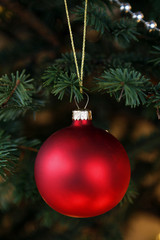 Red christmas ball