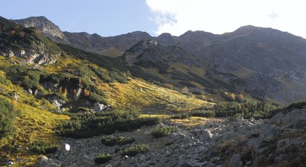 Spalena dolina in western part of Tatra mountains © rihas