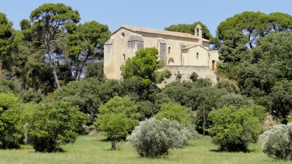 Fototapeta na wymiar Eglise Saint-Sauveur - La Barben (Provence)