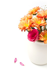 Beautiful flower bouquet on white background
