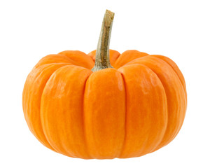 pumpkin isolated on white