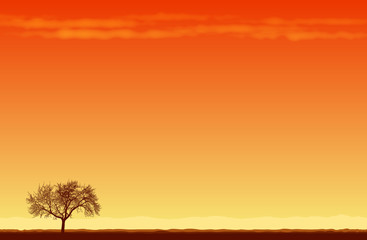 Fototapeta na wymiar Lone Tree in the Desert