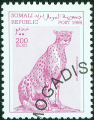 stamp printed in somalia showing leopard