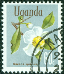 stamp printed in Uganda shows Flowers