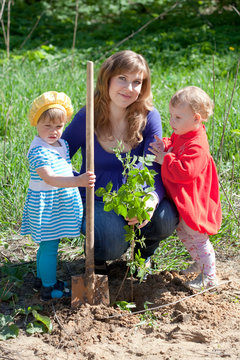 woman and   girls planting raspberry