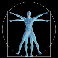 Vitruvian human or man as concept