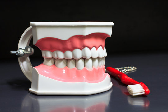 Teetch model
