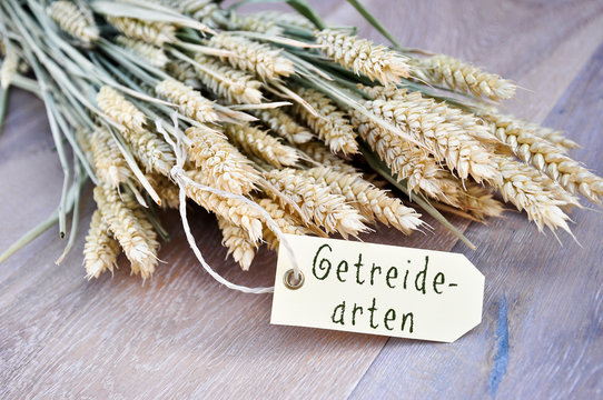 Getreidearten