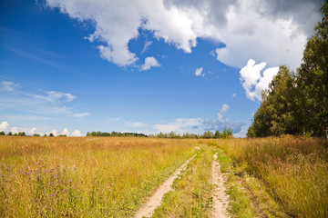 Fototapeta na wymiar Russian rural landscape with dirt road along the field