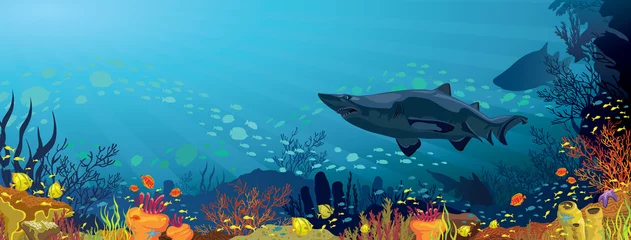 Foto op Plexiglas Koraalrif met haaien en silhouet van vissen © Natali Snailcat