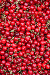 Cerises