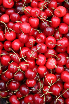 Cerises
