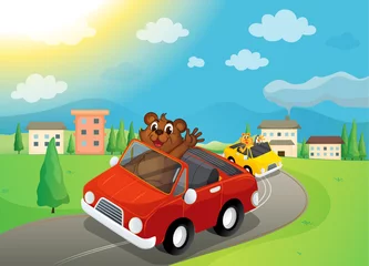 Gordijnen beer en auto& 39 s © GraphicsRF